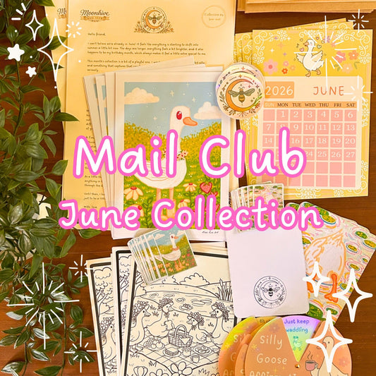 Snail Mail Print Club June Collection – Cottagecore Silly Goose Stationery Art Bundle